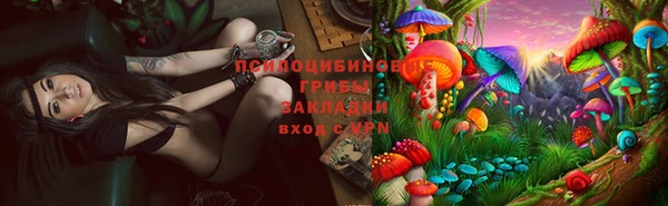 круглые Бородино