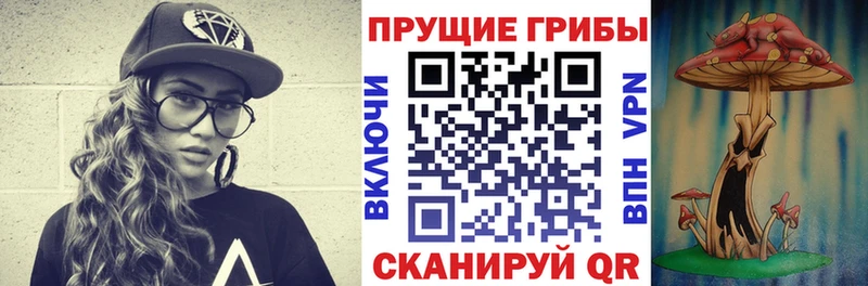 Купить закладки  Петров Вал  Галлюциногенные грибы GOLDEN TEACHER 